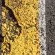 asfalto colorato giallo
